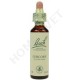 Bach Flower Remedies for Animals - Chicory